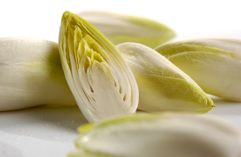 Mehrere Köpfe Chicorée, einer davon längs halbiert, auf weißem Untergrund.