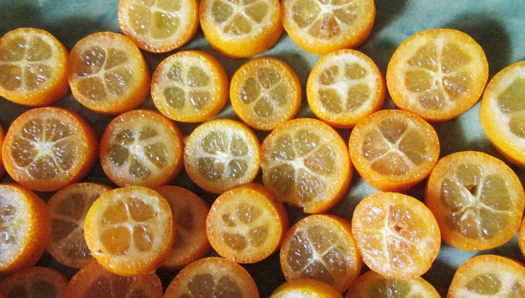 Mehrere in Scheiben geschnittene Kumquats liegen nebeneinander auf einer Oberfläche.